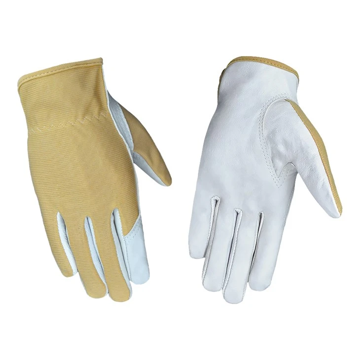 Bescherming handschoenen