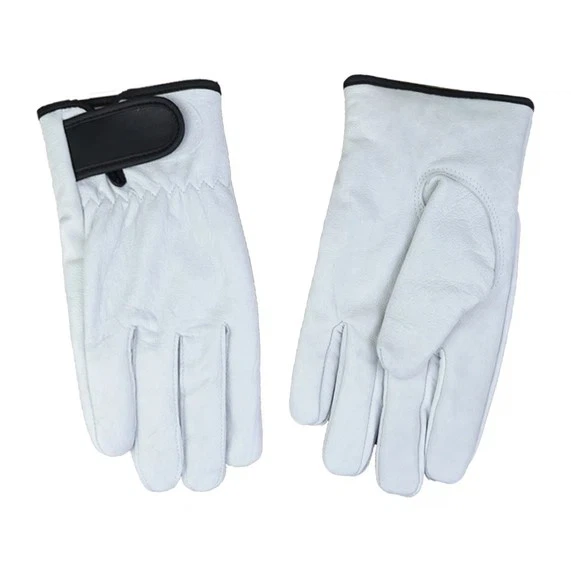 info-571-571 info-571-571