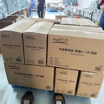 Het bedrijf voltooide met succes de Bulk Glove -bestelling en is klaar om te ...